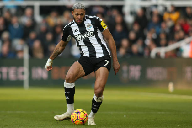 这为电竞项 这为电竞项